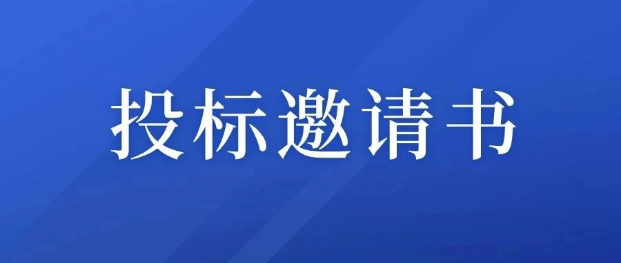优发国际皮线优发国际化生产技术改造EPC项目-跟踪审计咨询项目招标公告（投标邀请书）