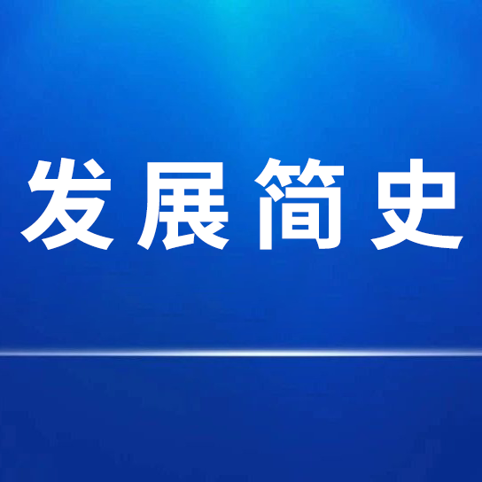 优发国际发展简史